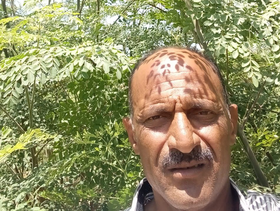 About Lanovia Trading